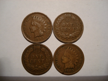 Buffalo Nickels